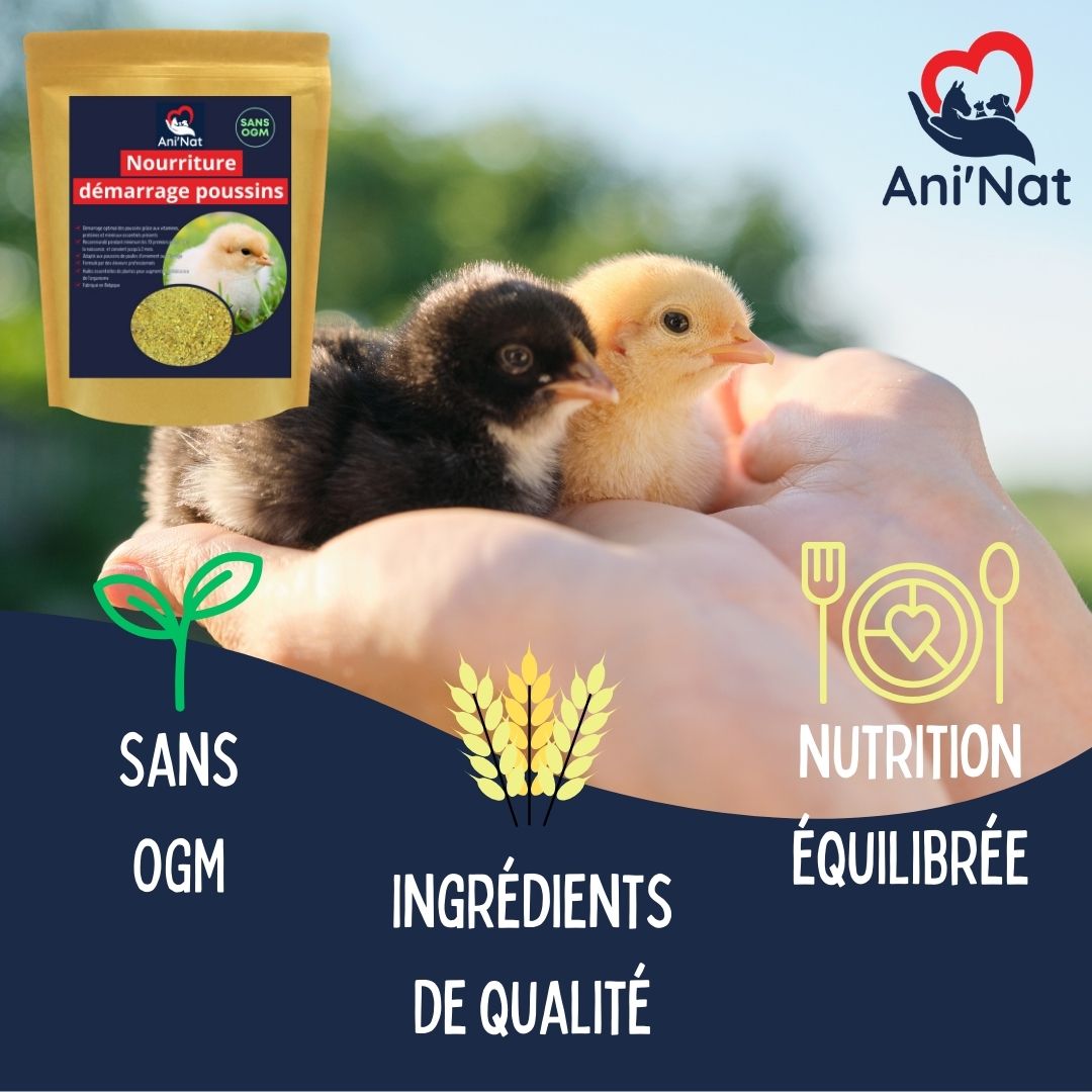 Nourriture démarrage poussins, aliment 1er âge complet avec huiles essentielles, vitamines et minéraux