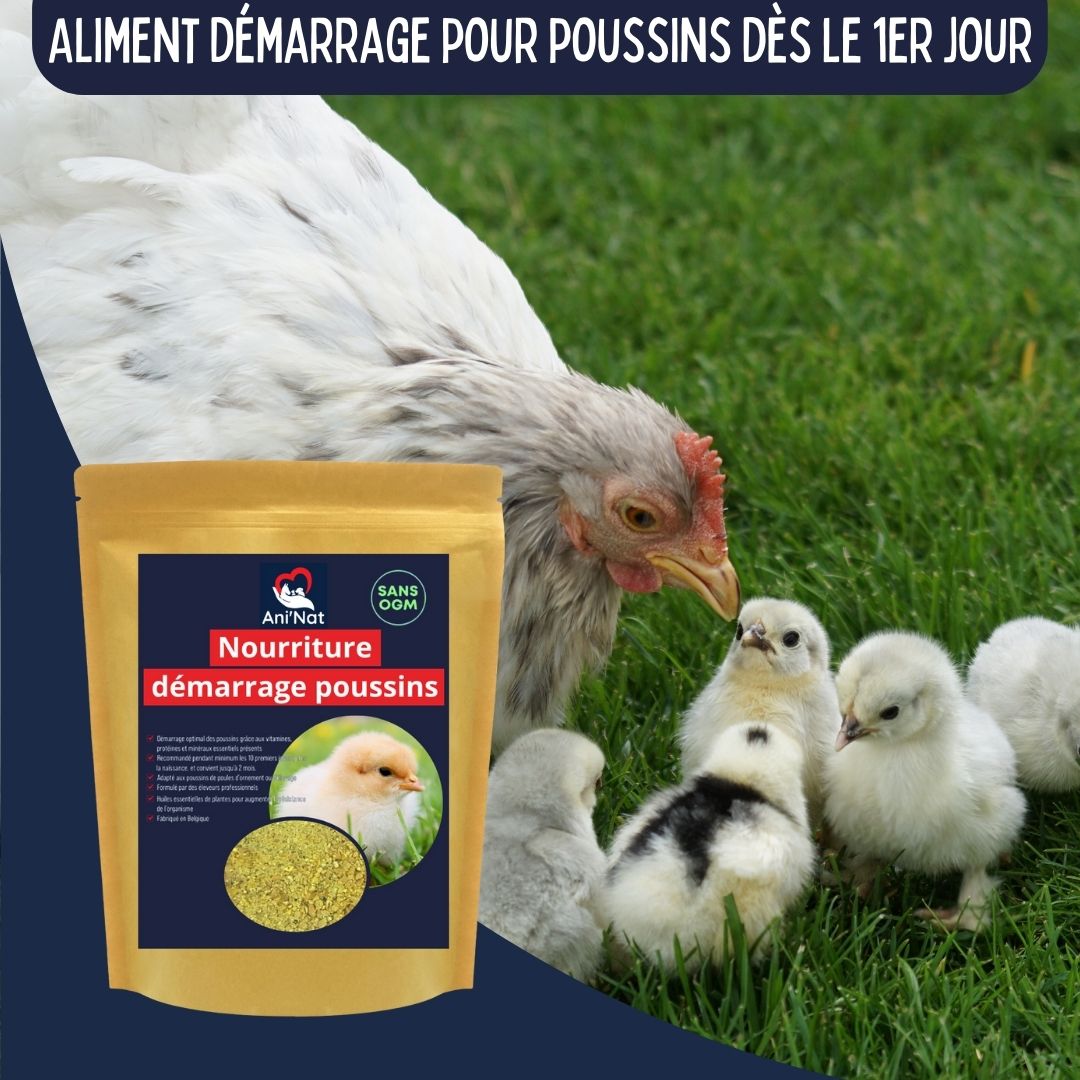 Nourriture démarrage poussins, aliment 1er âge complet avec huiles essentielles, vitamines et minéraux
