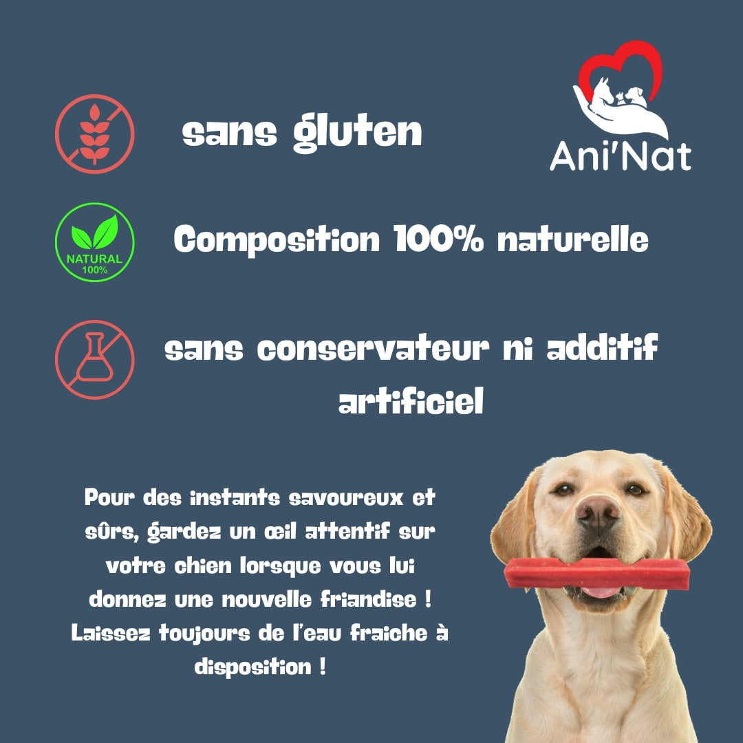 Ani'Nat Os à Mâcher Longue Durée - Recette Himalaya Fromage Yak - goût Spiruline - Friandise Chien 100% Naturelle - Santé Dentaire - Plaisir Fruité - Toutes Races de Chiens