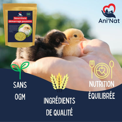 Nourriture démarrage poussins, aliment 1er âge complet avec huiles essentielles, vitamines et minéraux